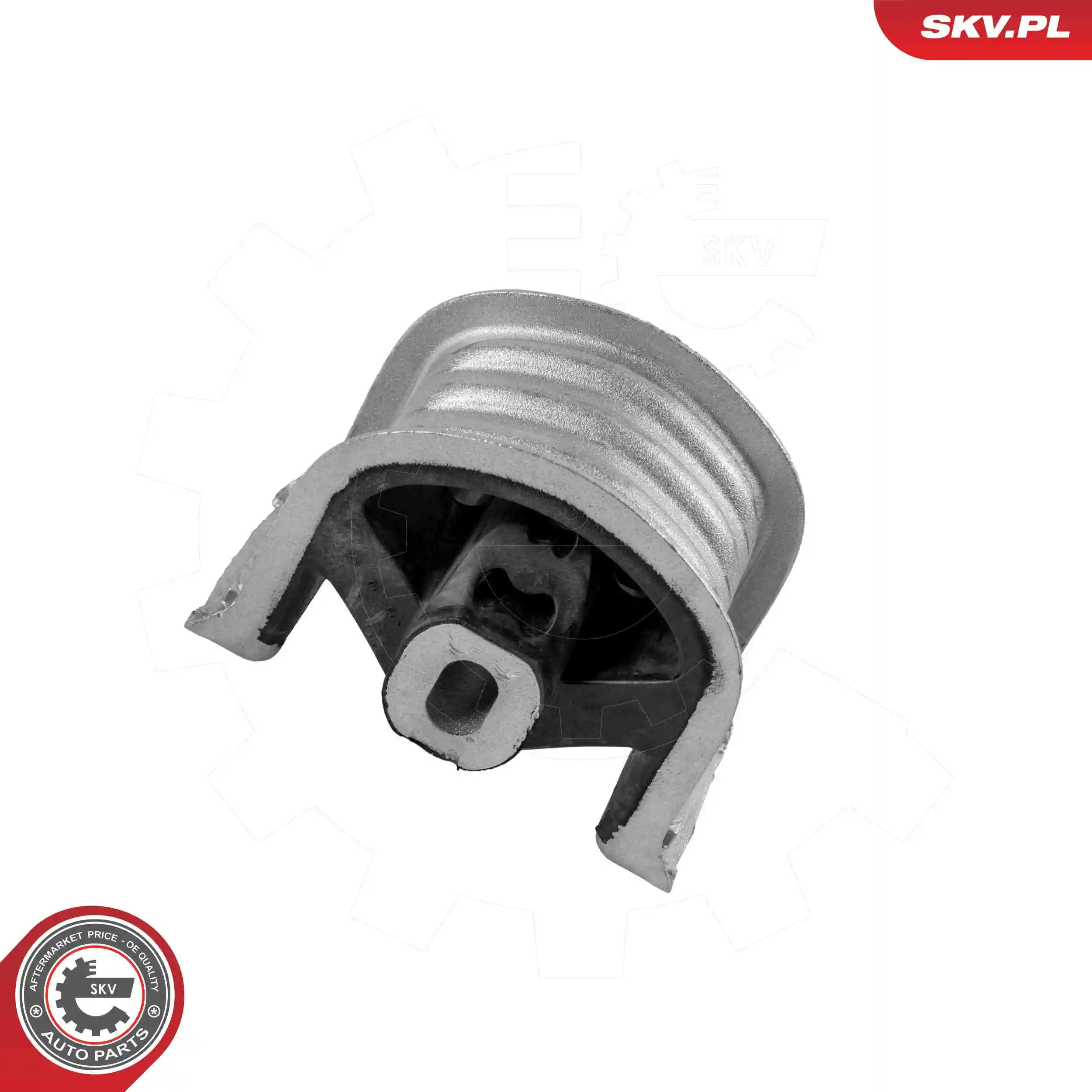 Mounting, engine